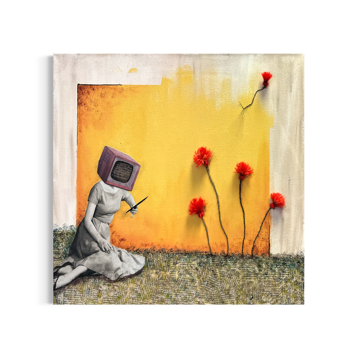 Björk Snorradóttir