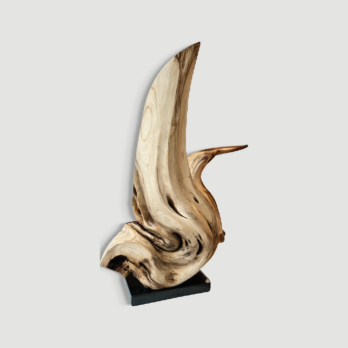 Jón Adólf Steinólfsson