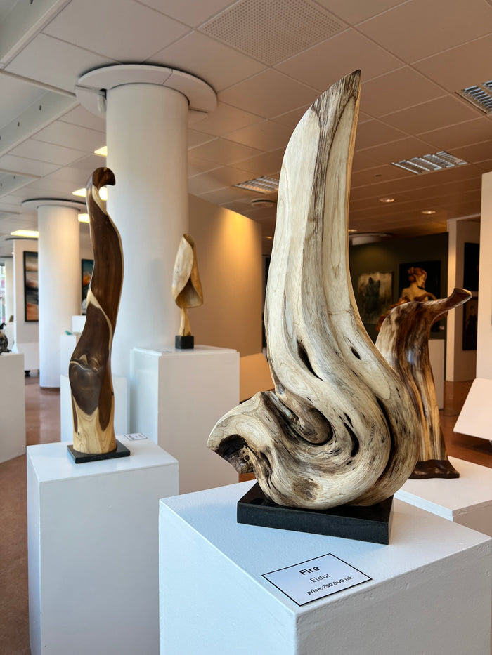 Jón Adólf Steinólfsson