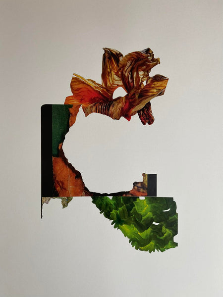 Sigríður Baldursdóttir