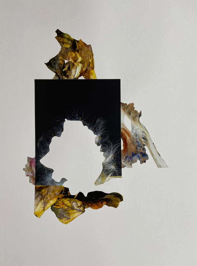 Sigríður Baldursdóttir