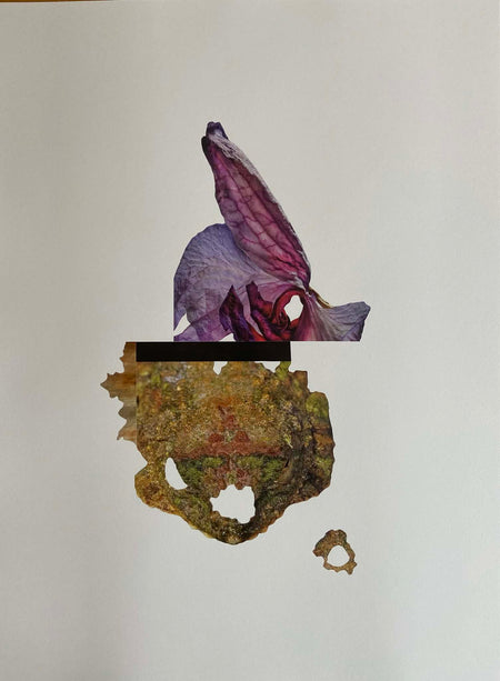 Sigríður Baldursdóttir