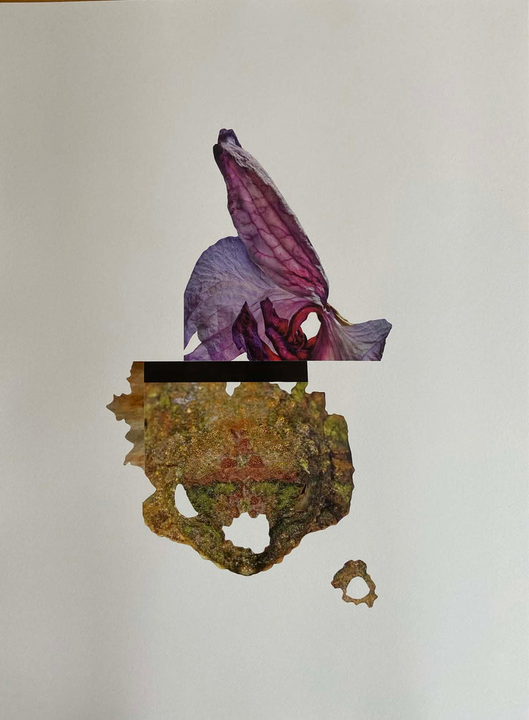 Sigríður Baldursdóttir