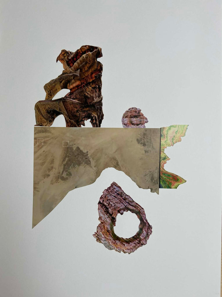 Sigríður Baldursdóttir