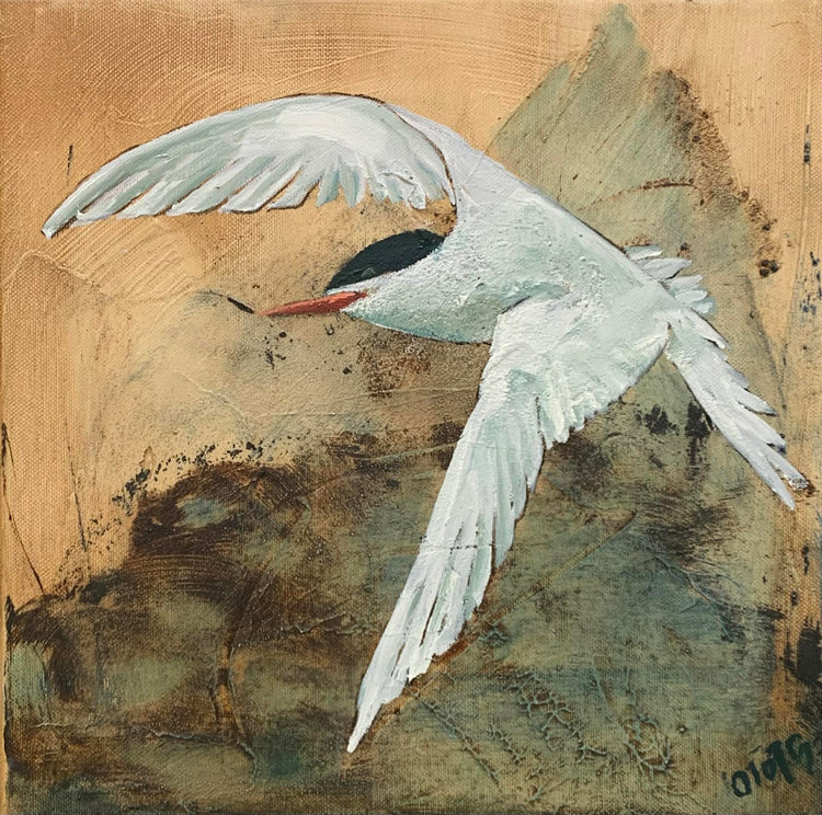 Ólöf Jóna Guðmundsdóttir