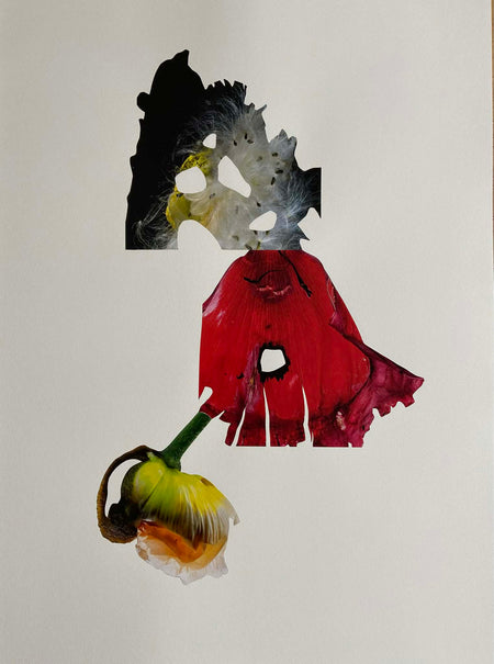 Sigríður Baldursdóttir