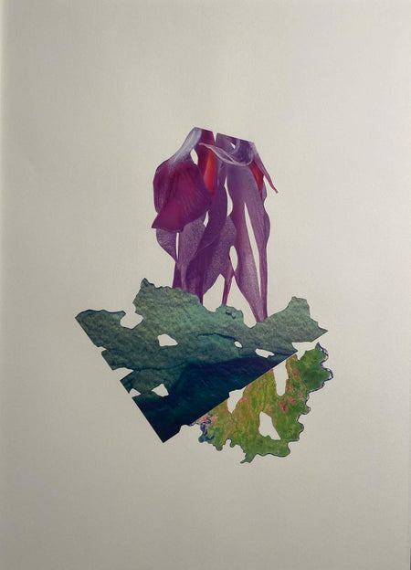 Sigríður Baldursdóttir