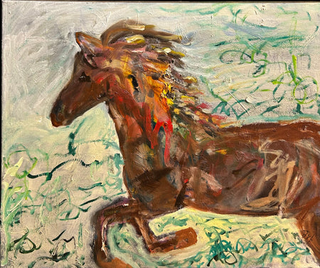 Jóhanna V Thórhallsdóttir horse
